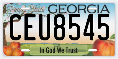 GA license plate CEU8545