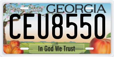 GA license plate CEU8550