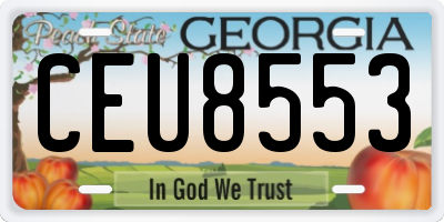 GA license plate CEU8553
