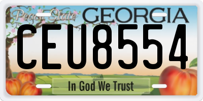 GA license plate CEU8554