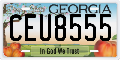 GA license plate CEU8555