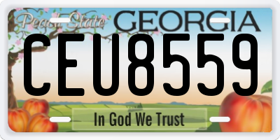 GA license plate CEU8559