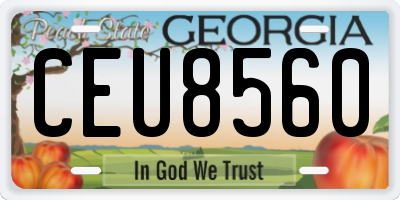 GA license plate CEU8560
