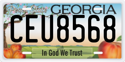 GA license plate CEU8568
