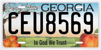 GA license plate CEU8569