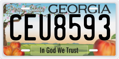 GA license plate CEU8593