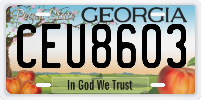 GA license plate CEU8603