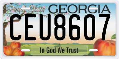 GA license plate CEU8607