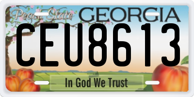 GA license plate CEU8613