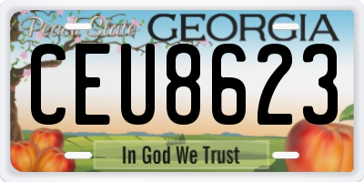 GA license plate CEU8623