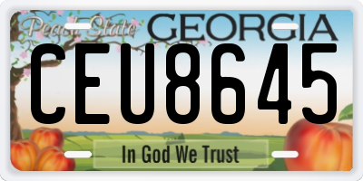 GA license plate CEU8645