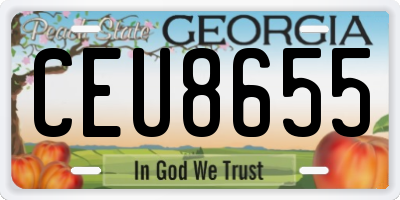 GA license plate CEU8655