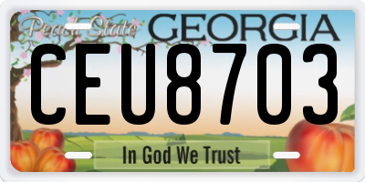 GA license plate CEU8703