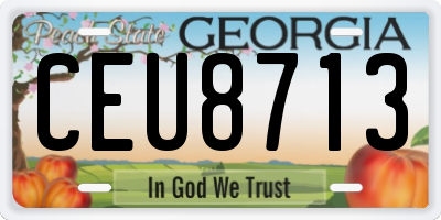 GA license plate CEU8713