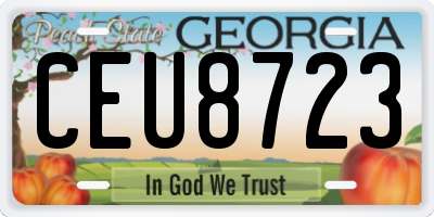 GA license plate CEU8723