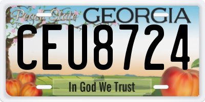 GA license plate CEU8724