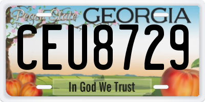 GA license plate CEU8729