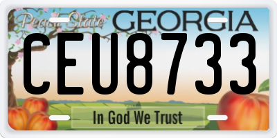 GA license plate CEU8733