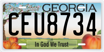 GA license plate CEU8734
