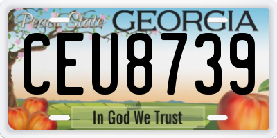 GA license plate CEU8739
