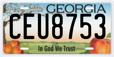 GA license plate CEU8753