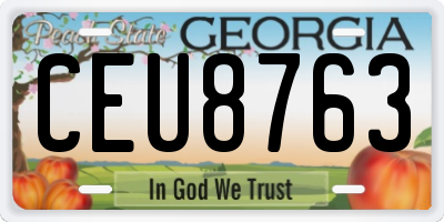 GA license plate CEU8763