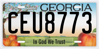 GA license plate CEU8773
