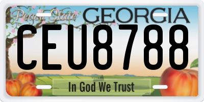 GA license plate CEU8788