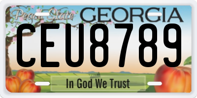 GA license plate CEU8789