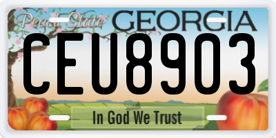 GA license plate CEU8903