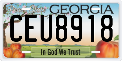 GA license plate CEU8918