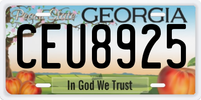 GA license plate CEU8925