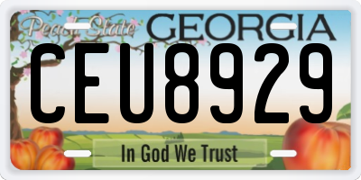 GA license plate CEU8929