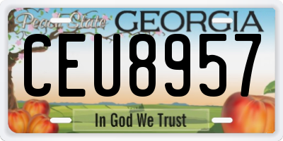 GA license plate CEU8957