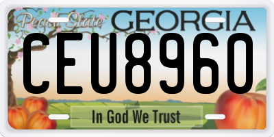 GA license plate CEU8960