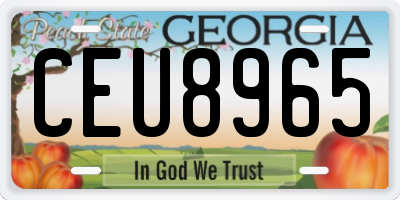GA license plate CEU8965
