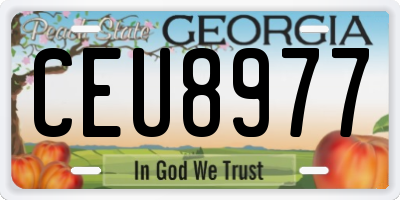 GA license plate CEU8977