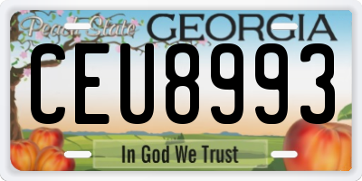 GA license plate CEU8993