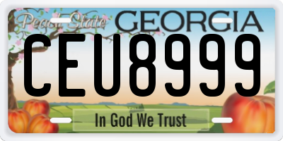 GA license plate CEU8999