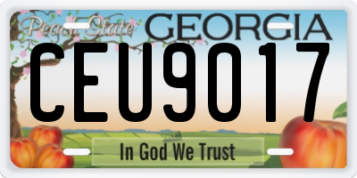 GA license plate CEU9017