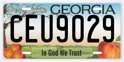 GA license plate CEU9029