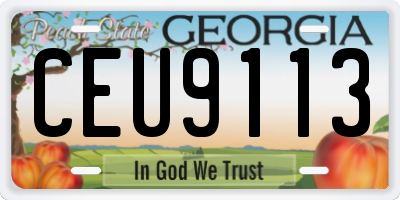 GA license plate CEU9113
