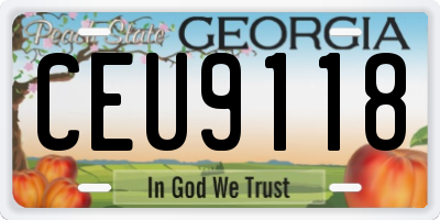 GA license plate CEU9118