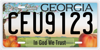 GA license plate CEU9123