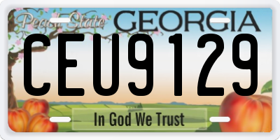 GA license plate CEU9129