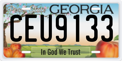 GA license plate CEU9133