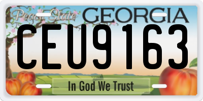 GA license plate CEU9163