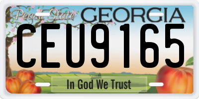 GA license plate CEU9165