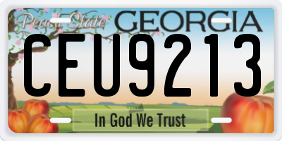 GA license plate CEU9213
