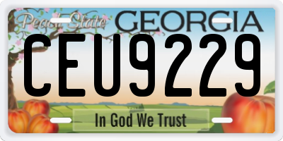GA license plate CEU9229